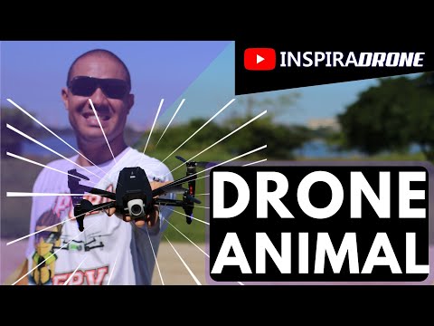 Drone Dragonfly KK13 - Review em PORTUGUÊS-BR