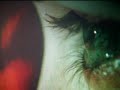 JOURNEY 1907 1/2 disturbing horror art video JOURNEY 1907 1/2 disturbing horror art video