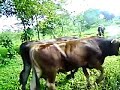 Nuestro Rancho