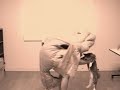 魚が【崖の上のポニョ】を踊れんのか