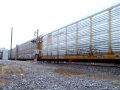 NS 275 (11-25-09) 
