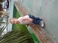 my little girls early steps