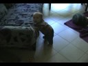 080731 standing at the sofa