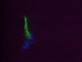 Haleys LED light show LOVE IS GONNA SAVE US-BENNY BENASSI