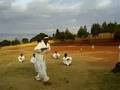 videos de Karate