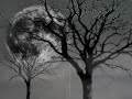 Video screenshot