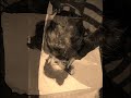 se le apago la luz    