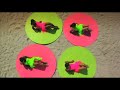 Ce�Cile - Goody