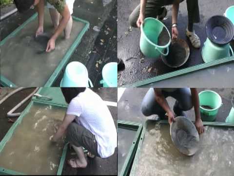 practice for goldpanning competition 20090726