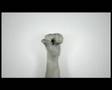 Guinness new ad - A Short Film Called Hands