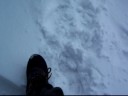 Alison in the snow