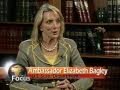 Global Partnerships on VOA's In Focus