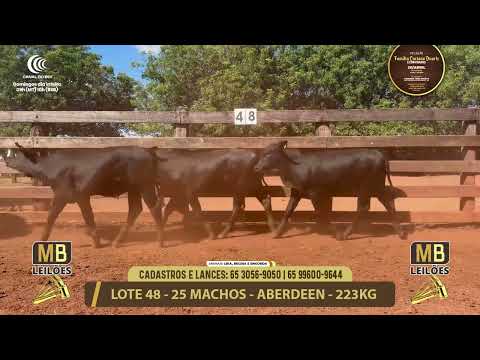 11� LEIL�O FAM�LIA LUCIANO DUARTE E CONVIDADOS