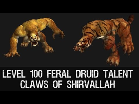 claws - Claws of Shirvallah - Level 100 Feral Druid Talent Druid Saberon Form.