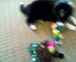 Object Programming by Luca and Pickle