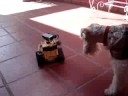 Walle y la Luna
