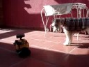 Walle y la Luna