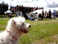Barney Dee at Avro 100th Anniversary Celebration