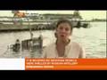 Russian forces sink Georgian ships - 13 Aug 2008
