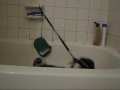 Bath time Pt 2: Desperation.