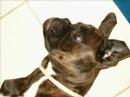 pics 2006/2007/2008