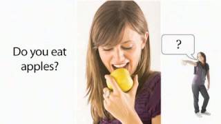 La Comida y los Verbos.