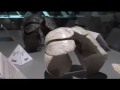 Body Worlds 3 Extended Cut