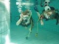 OSV de Pinguin Scubadoe duiken