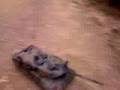 marui leopard2 a6 rc tank with mabuchi 370 motor