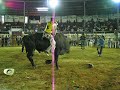 JARIPEO RANCHERO DF