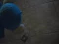 monkey suicide monkey suicide