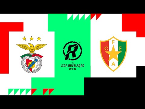 Benfica x Est. Amadora