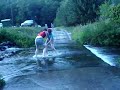 pokrzywna