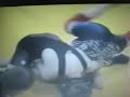 ALAMOSA WRESTLING ALAMOSA WRESTLING