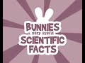 Bunnies Can't Phone