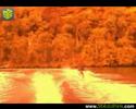 - Wakeboard - 564clothink