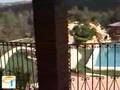 FINCA FOR SALE IN JALON REF 813 www.casa-finders.com