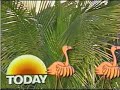 WTVJ 4 Strange Today Show re-entry WTVJ 4 Strange Today Show re-entry