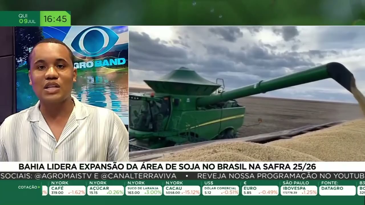 Bahia lidera expansão da área de soja no Brasil na safra 25/26