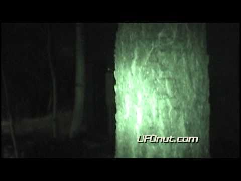 UFOnut.com - Episode 008: Bailey Bigfoot Investigation