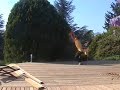 Trailer Nody-G Parkour Street stunt