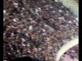 La Legge Degli Ultras - Napoli Curva A
