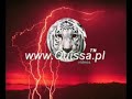 http://www.reggaetonline.net/daddy-yankee-060105_inside-reggaeton

boricua, cubano, boricua cubano, boricua cubano, boricua
(subele mambo pa que mi gata prenda lo motores) [3x]
(que se prepararen que lo que viene es pa que le den duro!)

mamita yo se que tu no te me va a quitar (duro!)
lo que me gusta es que tu te dejas llevar (duro!)
todos los viernes ella sale a vacilar (duro!)
mi gata no para de janguear porque (yeah!)

a ella le gusta la gasolina
dame mas gasolina!
a ella encanta la gasolina (whatcha say)
dame mas gasolina! (hey)
a ella le gusta la gasolina (yeah)
dame mas gasolina!
a ella encanta la gasolina
dame mas gasolina!


ella prende la turvina
no discrimina
no se pierde ni un party de marquesina
se acicala va pa la esquina
luce tambien que hasta la sombra le combina
asesina, me domina
janguea en carro, motora, y limosina
llena su tanque de adrenalina
cuando escucha reggaeton en la cocina

a ella le gusta la gasolina
dame mas gasolina! (hey)(hey)
a ella encanta la gasolina (whatcha say)
dame mas gasolina! (hey)
a ella le gusta la gasolina (boricua, cubano)
dame mas gasolina! (yeah) (boricua, cubano)
a ella le encanta la gasolina (yeah)
dame mas gasolina!


a ella le gusta la gasolina
mami yo tengo la gasolina
dale pa' bajo y ahora pa' arriba
tu no pegas tarro no me digas
mentirosa, tu sabes mas que nadie que tu eres loca
ahora baila y quitate la ropa
de puerto rico a cuba
cuba hasta la yuma, todas las mujeres
don't stop get it get it
sucia, yo tengo esa gasolina que te gusta
olvidate de tu marido y disfruta
deja la intriga, baila amiga
tu yo y ella, tremenda pareja (yeah..)
deja, los juegos pa' los ninos de la escuela
si los tienes acapella ense�amelos no tenga pena mira..
ima tell you one more time: yo te doy la gasolina!


a ella le gusta la gasolina
dame mas gasolina!
a ella le encanta la gasolina (skeet skeet skeet)
dame mas gasolina! (let s go)
a ella le gusta la gasolina (whatcha say)
dame mas gasolina!
a ella le encanta la gasolina
dame mas gasolina!


(yo!) aqui yo soy de los mejores
no te me ajores
en la pista nos llaman lo matadores
tu haces que cualquiera se enamore
cuando bailas al ritmo de los tambores,
esto va pa' las gatas de to' colores
para la mayores, pa' la menores
para la que son mas zorras que los casadores
pa' la mujeres que no apagan su motores


(papi! nore!)
san juan, fajardo
bayamon, ponce
tu cara linda, mami mira
ven mami, ven mami toma tu gasolina
you feelin' oro, hey yo you oro
tu amiga like my stomach, you can both go un porro
guacala arroz con pollo, that's what i need
mami im with daddy yankee
so ven aqui (hey! hey!)
she love the way i do it (que que)
and flowing on that car do it
they call me papi chulo
tell me nore dame duro
ven mami vamonos, dale dale culo
ven chula, cubriendo basura
this is history we makin with daddy yankee and nore
name another rapper messing with reggaeton before me
caliente, suavemente, tranquilo, vendito
toma tu gasolina!

tenemos tu y yo algo pendiente
tu me debe algo y lo sabes
conmigo ella se pierdeee
no le rindes cuentas a nadieee [2x]
(yeah!)

subele mambo pa' que mi gata prenda lo motores
subele mambo pa' que mi gata prenda lo motores
subele mambo pa' que mi gata prenda lo motores
que se prepararen que lo que viene es pa que le den (duro!)

mamita yo se que tu no te me va a quitar (duro!)
lo que me gusta es que tu te dejas llevar (duro!)
todos los viernes ella sale a vacilar (duro!)
mi gata no para de janguear porque

a ella le gusta la gasolina
dame mas gasolina!
a ella le encanta la gasolina
dame mas gasolina!
a ella le gusta la gasolina
dame mas gasolina!
a ella le encanta la gasolina
dame mas gasolina!

ratings and comments r welcomed...