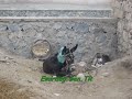 Sanatcilardan Emirdağ Türküleri -2 Emirdag.Gen.TR ::MeCo::