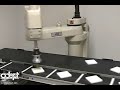 Adept Cobra robot in a dual conveyor tracking demo