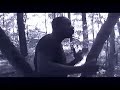 Tony Stone - Tapestry