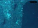 Adreno Scuba HMAS Brisbane