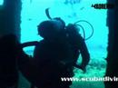 Adreno Scuba HMAS Brisbane