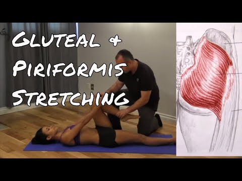 how to perform pnf stretches