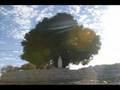 St Charbel Annaya